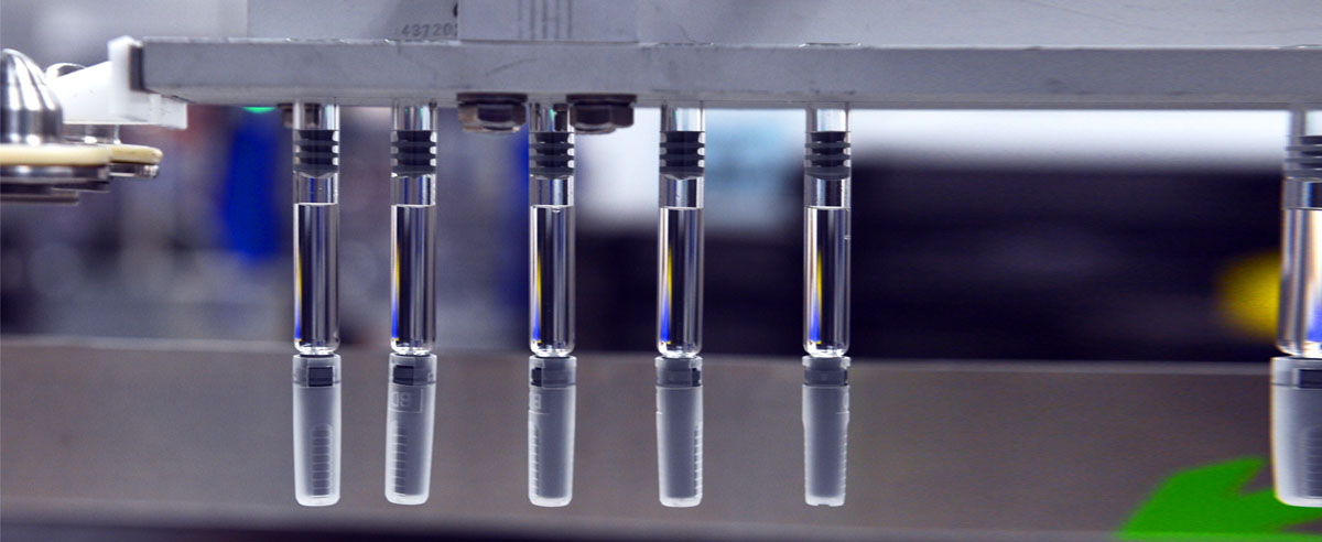 A row of test tubes filled with liquid hanging from a metal rack